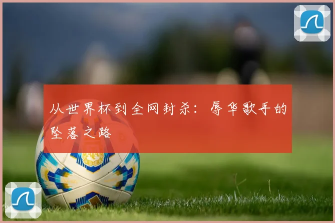 从世界杯到全网封杀：辱华歌手的坠落之路