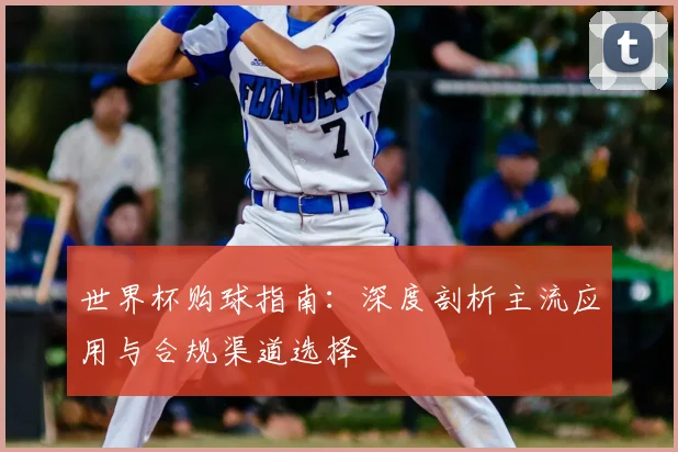 世界杯购球指南：深度剖析主流应用与合规渠道选择