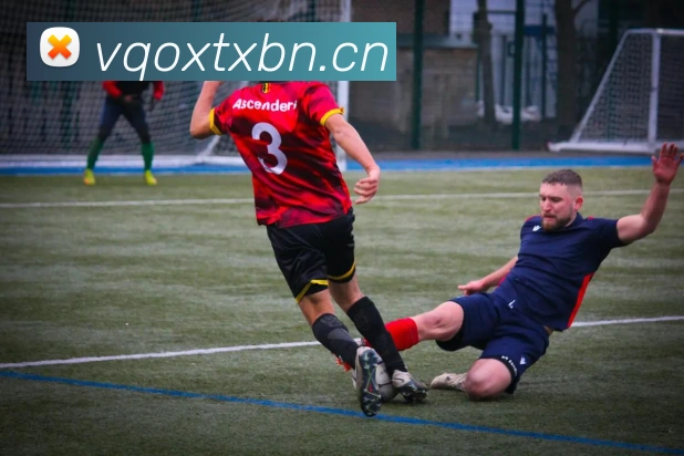 App Interface Preview